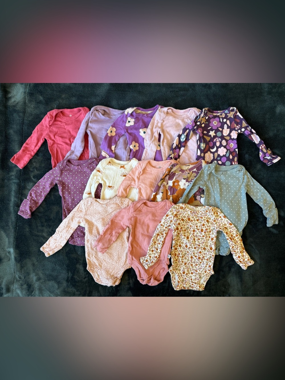 13 Carter’s & Honest Baby Clothing Assorted Long-Sleeve Baby Girl One-Piece Lot